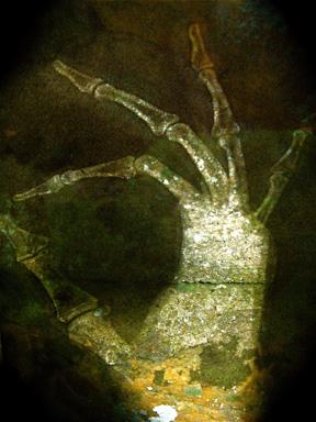 WISING UP GALLERY ILLNESS & GRACE SERIES #5