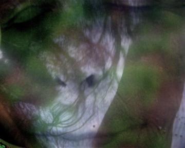 WISING UP GALLERY FAMILIES SERIES #13