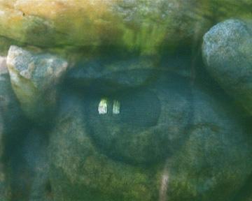 WISING UP GALLERY ILLNESS & GRACE SERIES #9