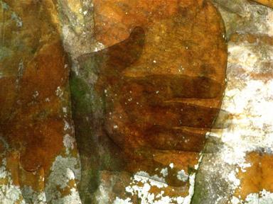WISING UP GALLERY ILLNESS & GRACE SERIES #8